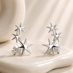 Boucles d'oreilles Argentées